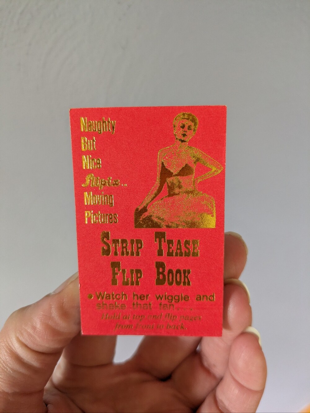 Vintage 90s Burlesque Dancer Flip book Strip Tease Erotica Grunge
